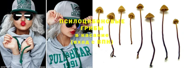 молекула духа Алзамай