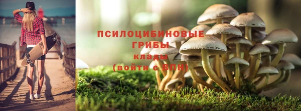 молекула духа Алзамай