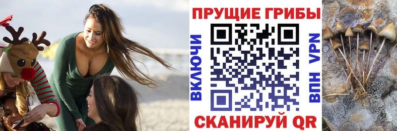 Псилоцибиновые грибы мухоморы  как найти закладки  Жуковка 